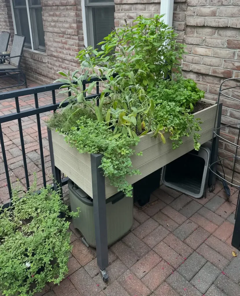 patio small herb garden