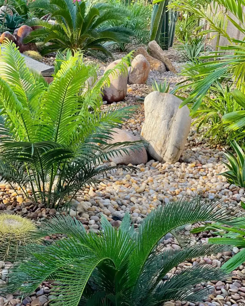 pebble and stone garden