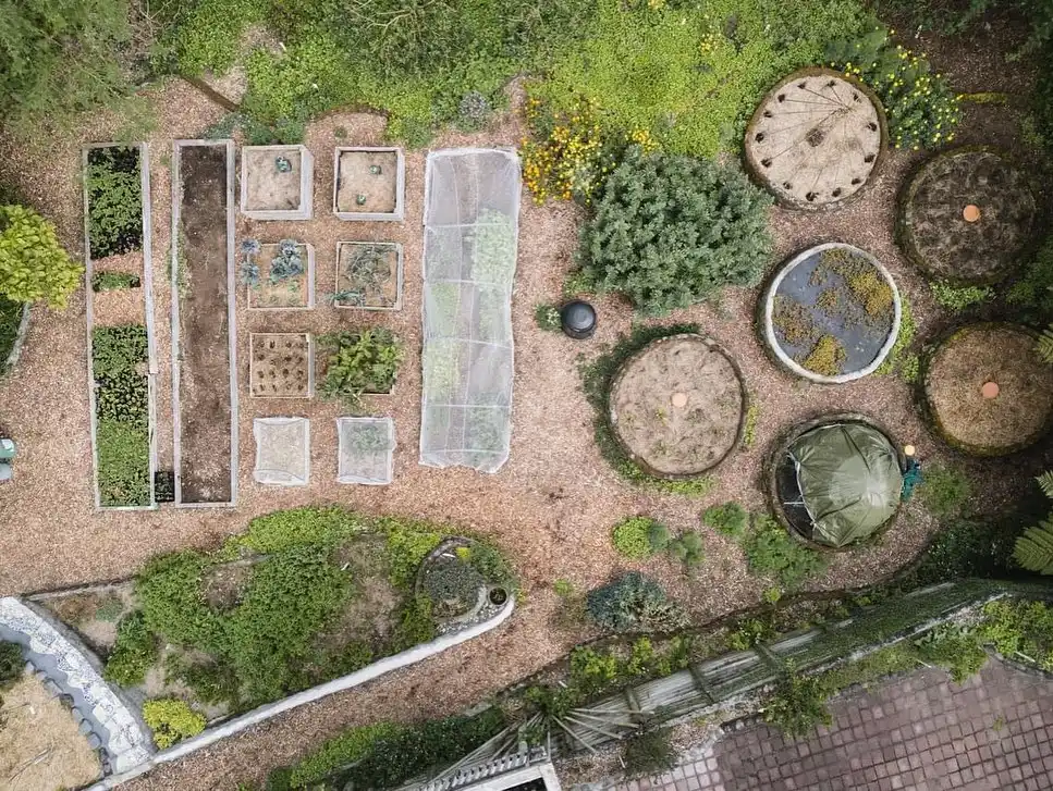 permaculture food forest design