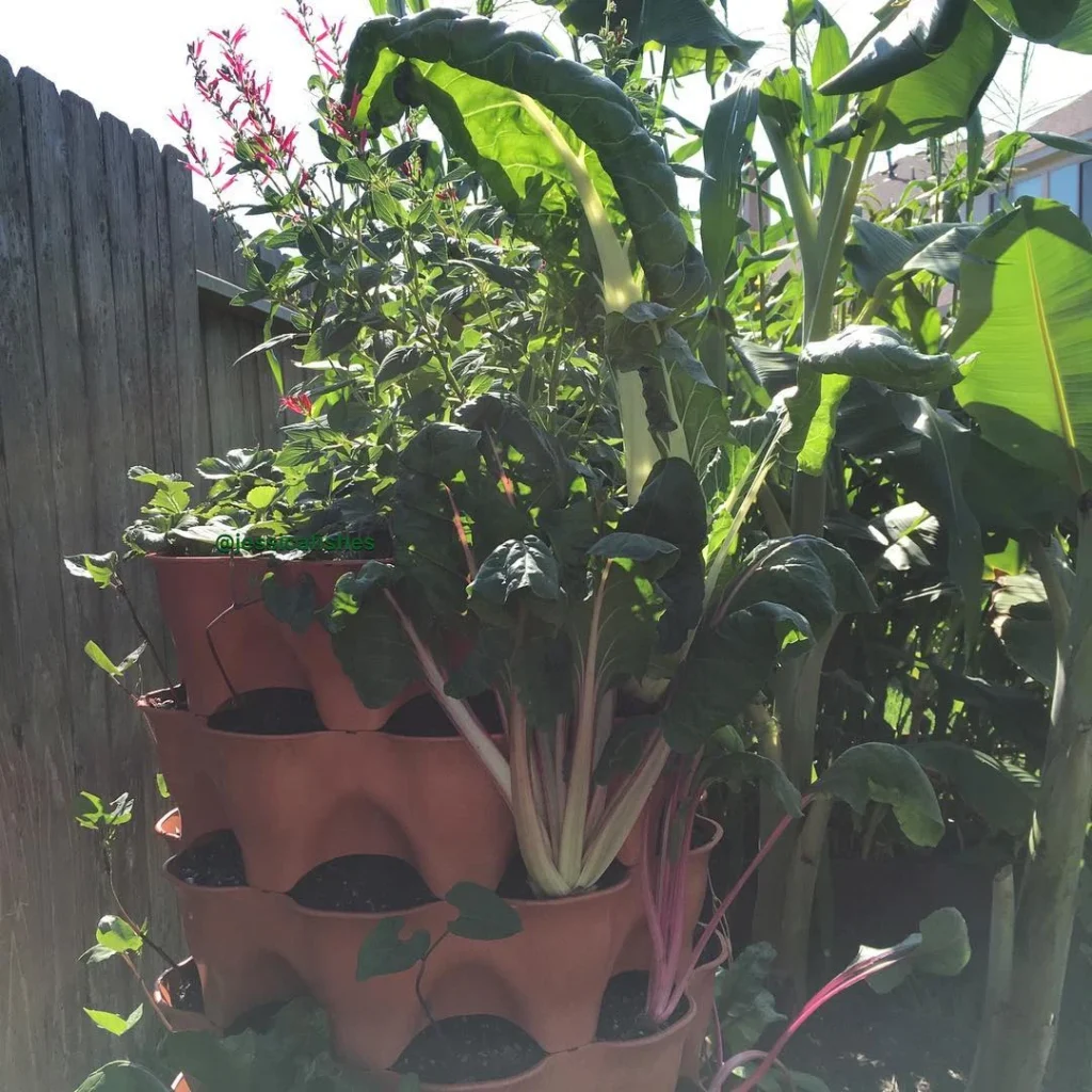 pocket vegetable gardens