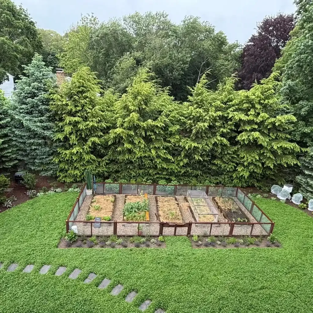 pollinator and vegetable garden