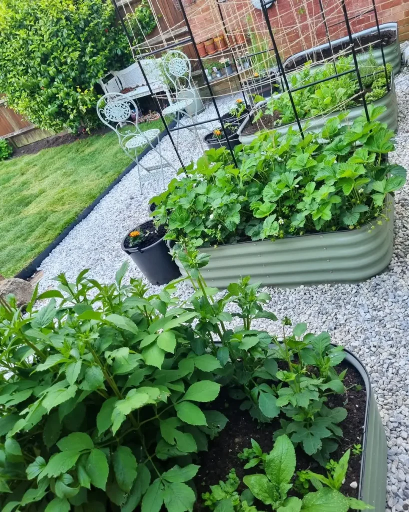 raised patio garden beds ideas (1)