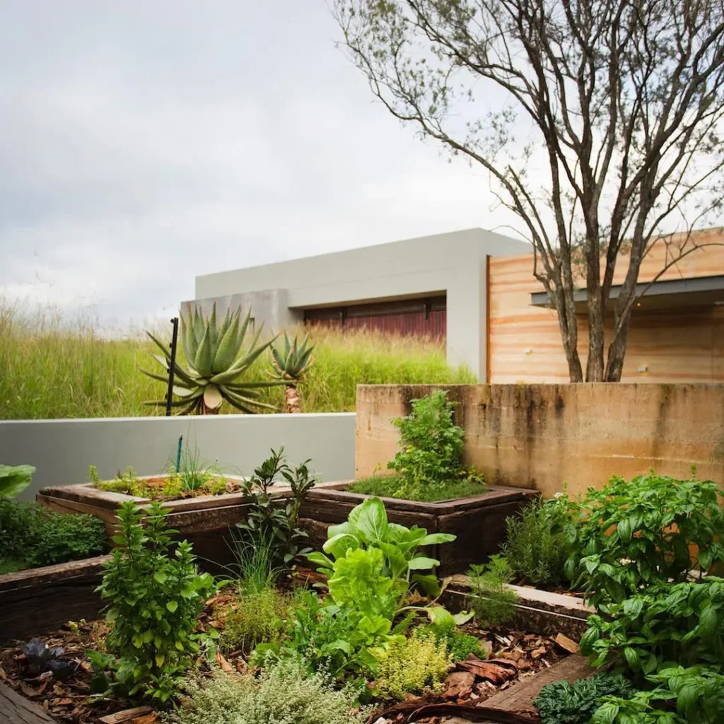 raised bed herb garden