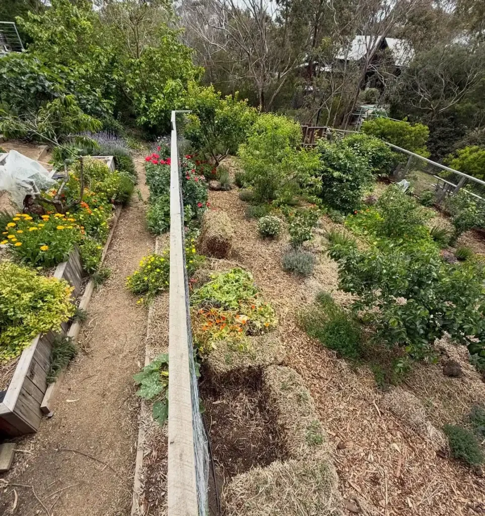 regenerative permaculture gardening