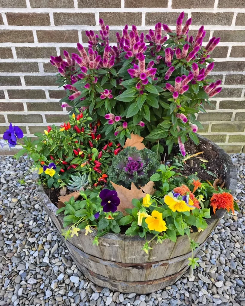 rustic wooden box flower garden