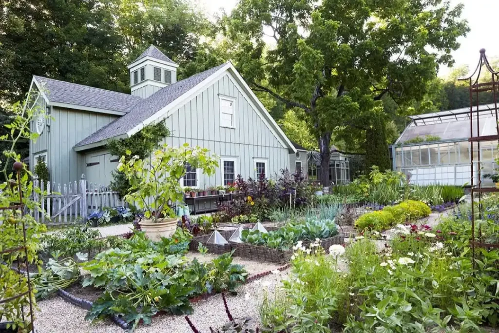 salsa vegetable garden theme