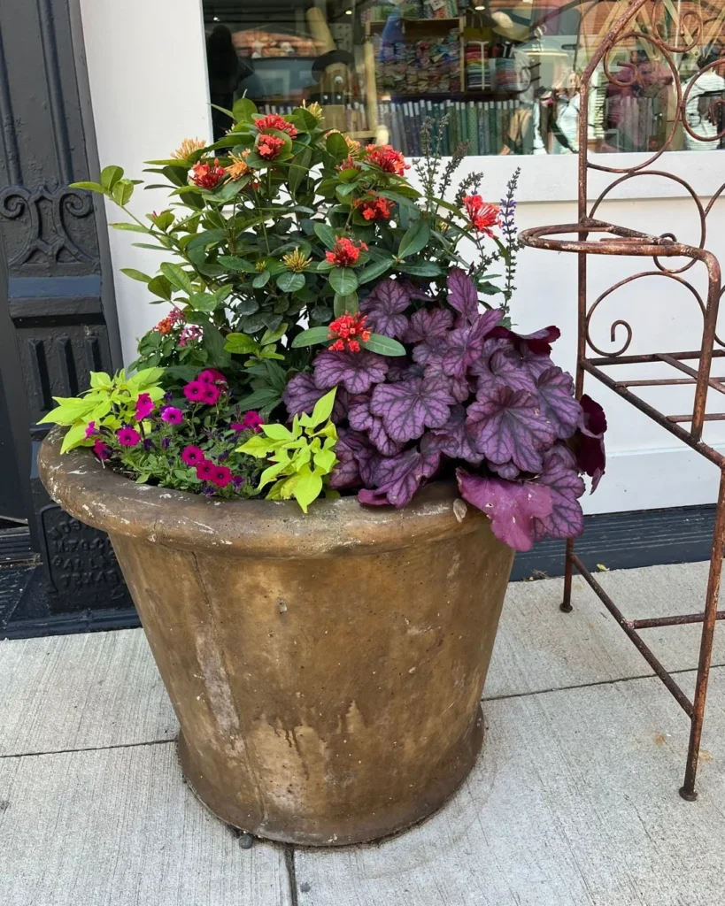 seasonal color flower rotation