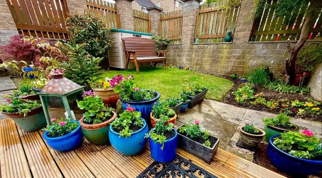 seasonal color pot garden design