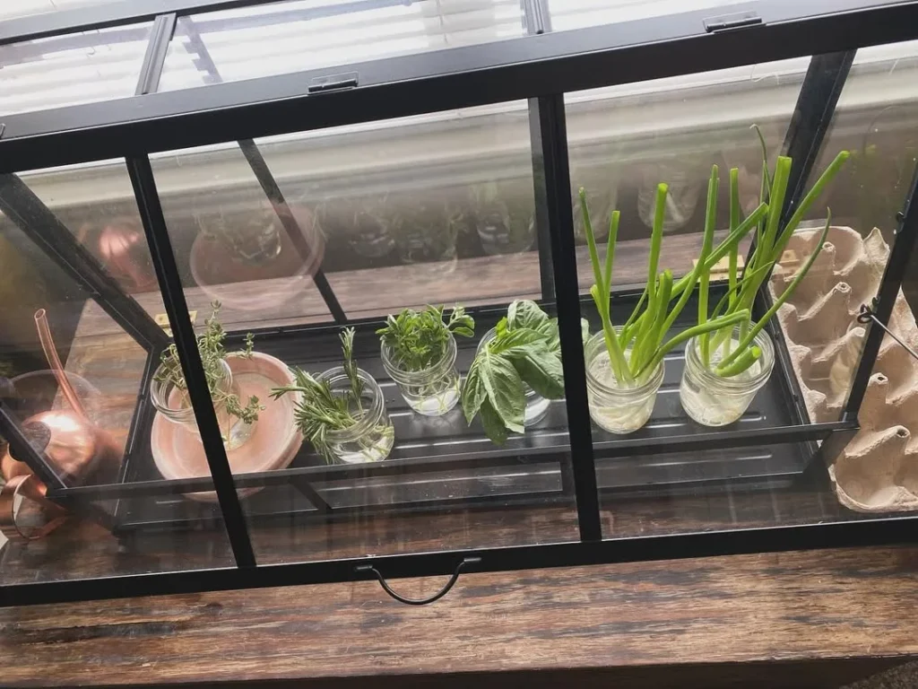 self watering small herb garden ideas