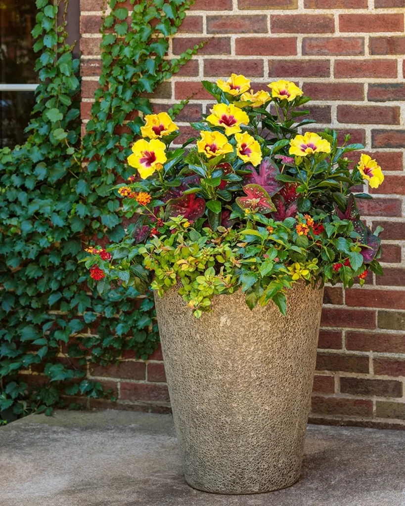 self watering aqua pots garden design