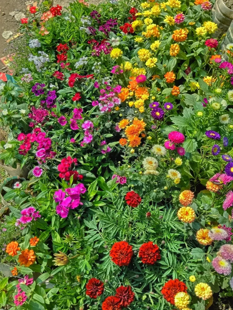 shade flower garden nook