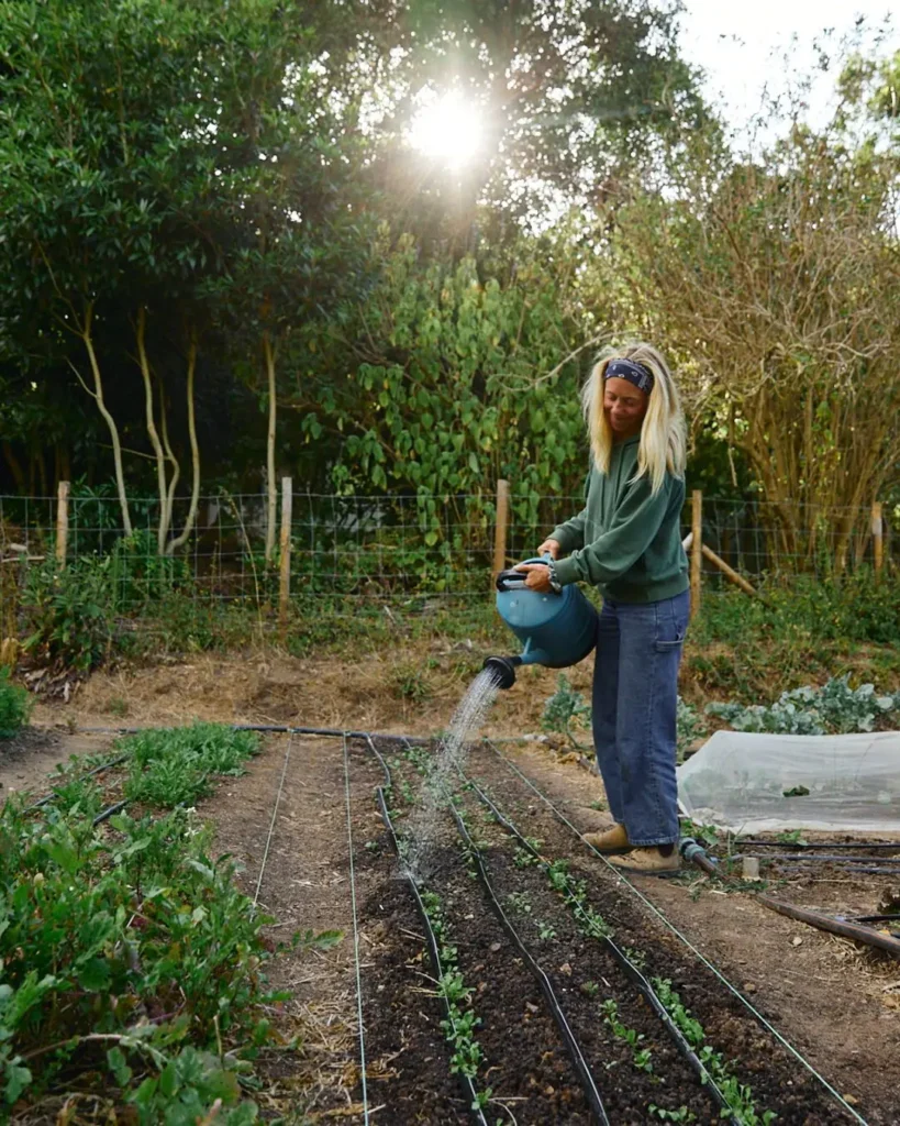 sheet mulch regeneration permaculture garden