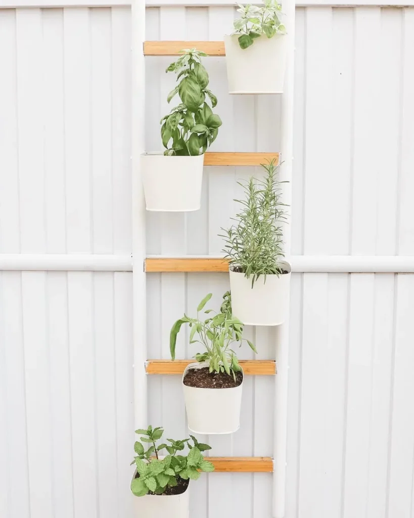 small ladder herb garden ideas