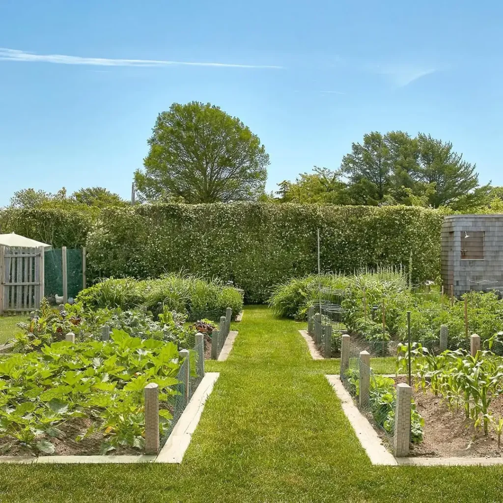 square foot vegetable gardening