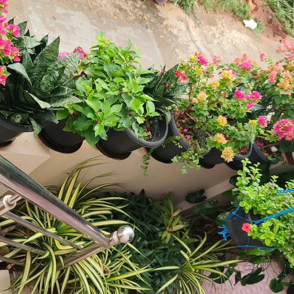 succulent and flower combo (1)