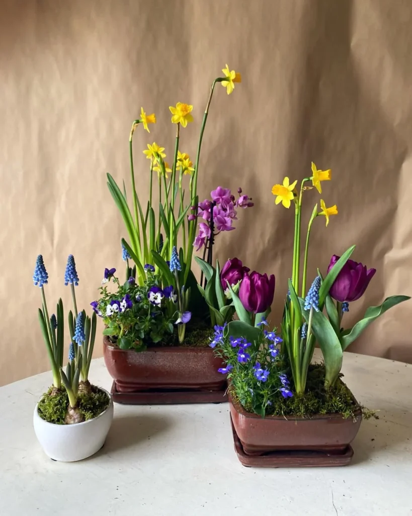 tabletop mini container garden