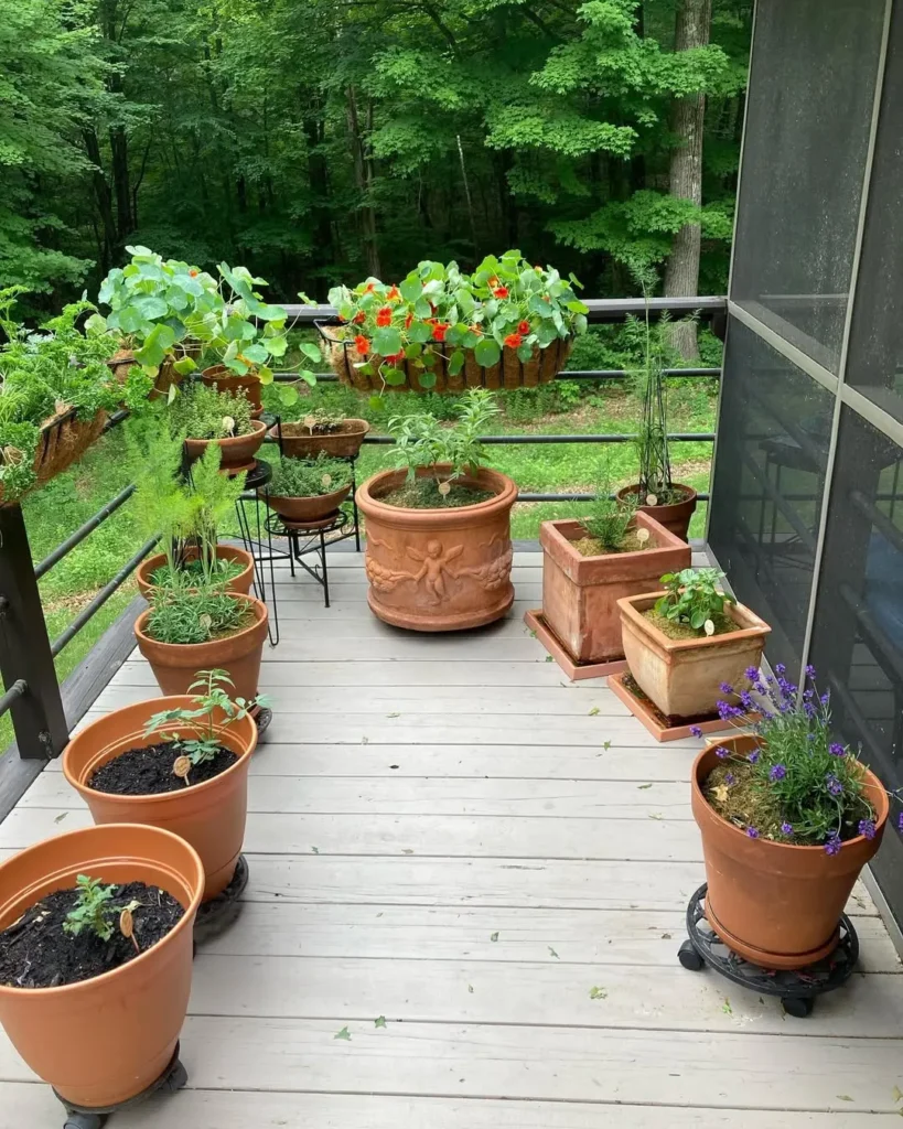 terracotta herb cluster