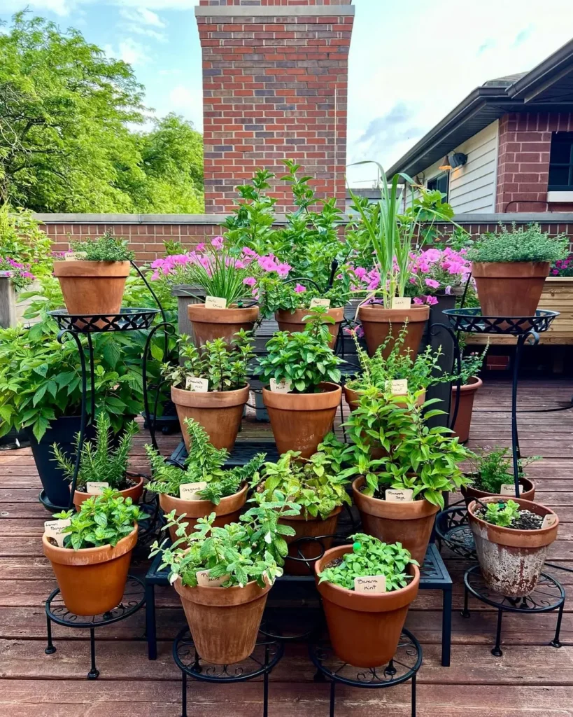 terracotta pots small herb garden