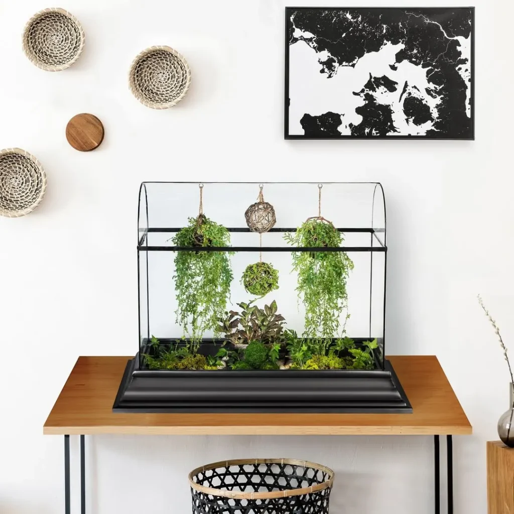 terrarium indoor garden