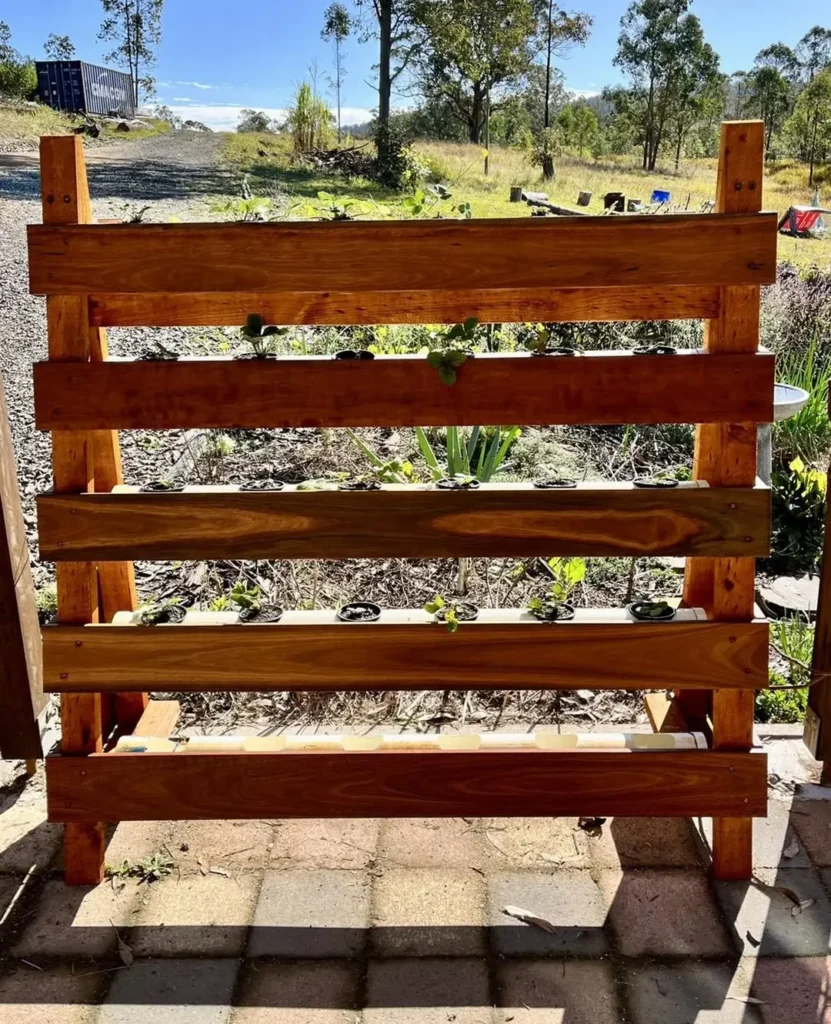 the observation permaculture garden design