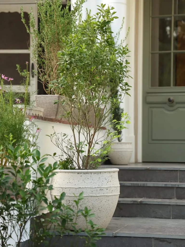 threshold planted entrance