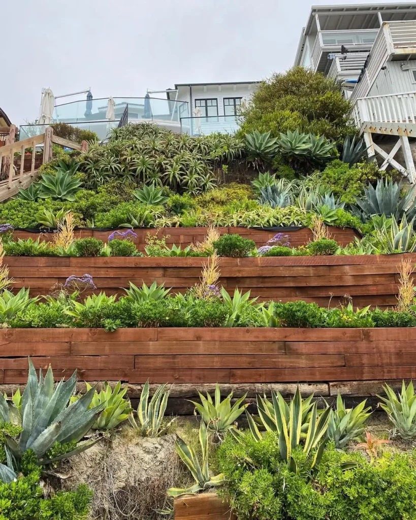 tiered container garden design