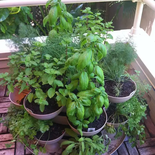 tiered herb garden tower
