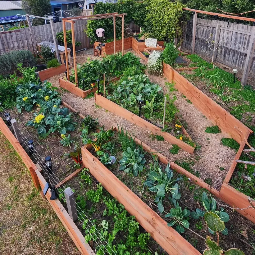 traditional row vegetable gardens