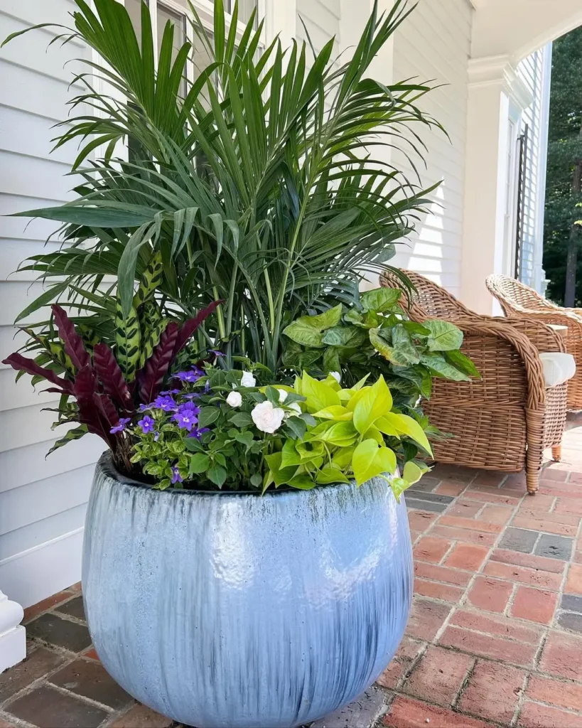 tropical container garden