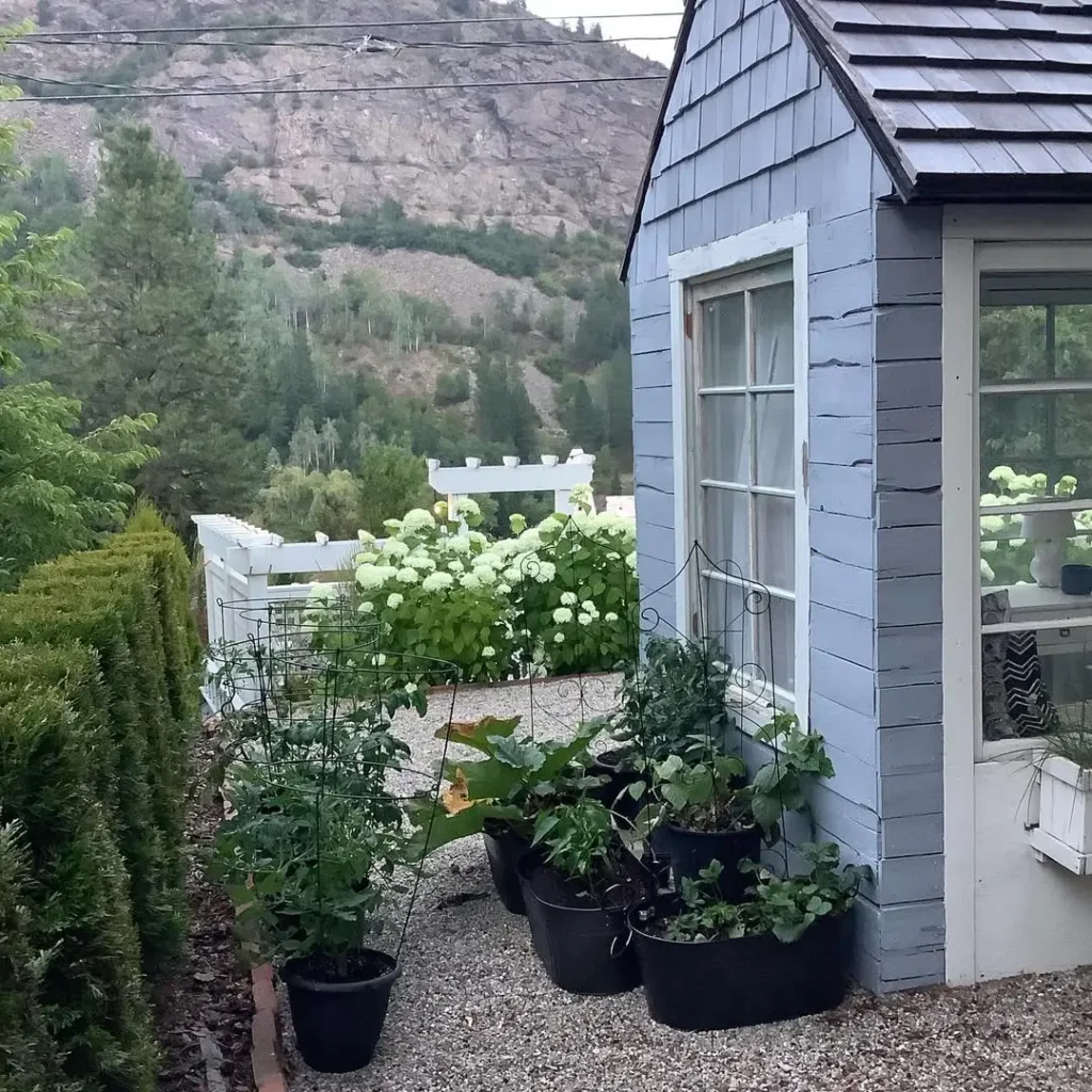 vegetable container garden