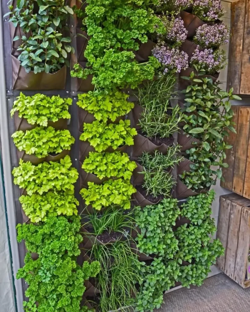 vertical small herb garden