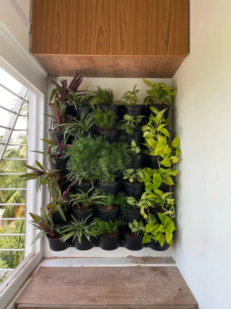 vertical wall indoor garden