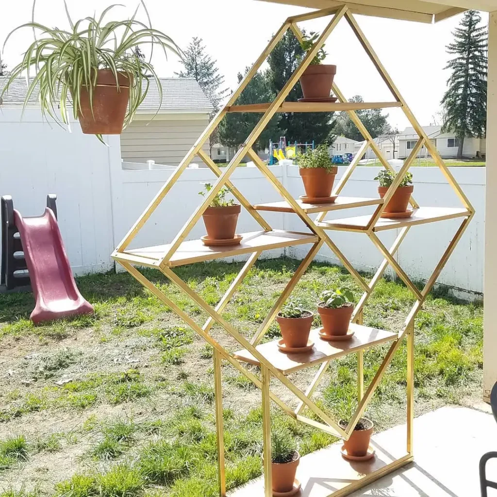 vintage tin herb collection