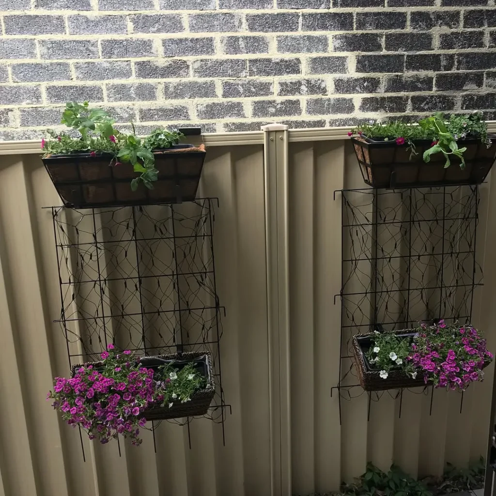 wall fence with plants