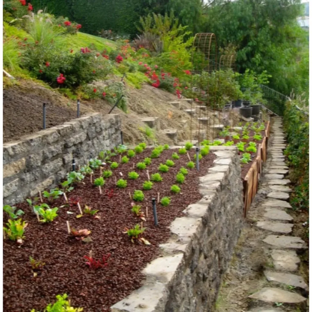 wall mounted vegetable gardens