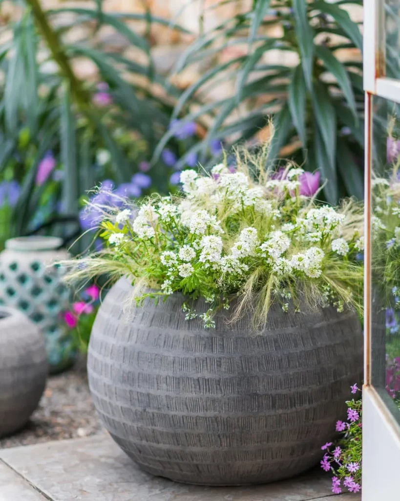 wildflower container mix