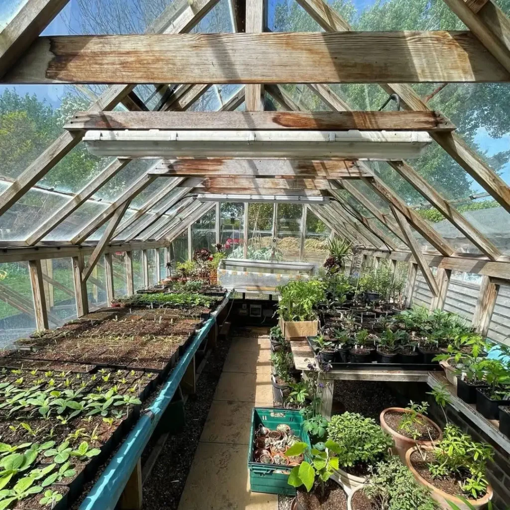 window box vegetables garden