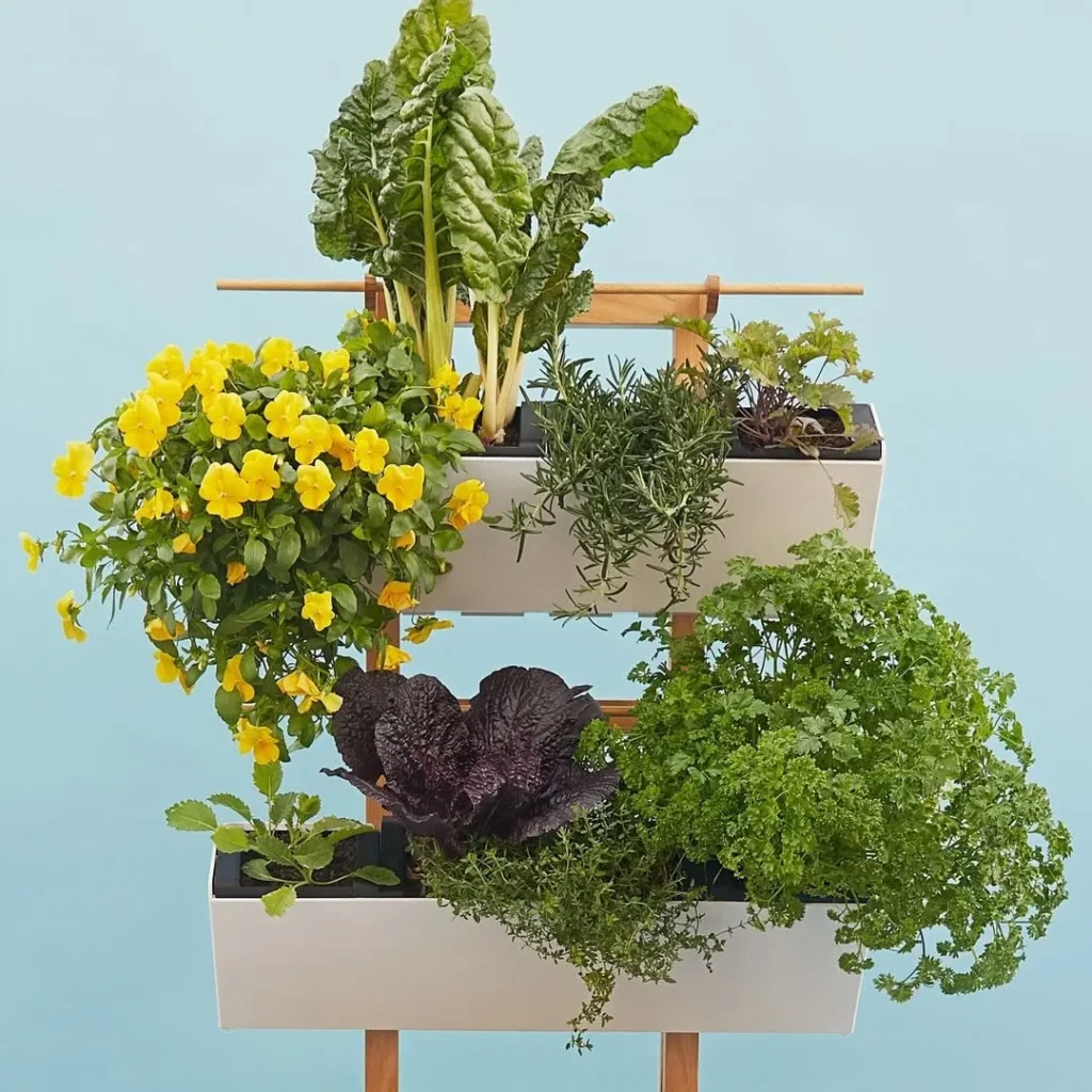 wooden crate herb box