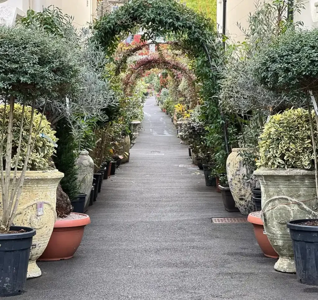 archway covered in greenery