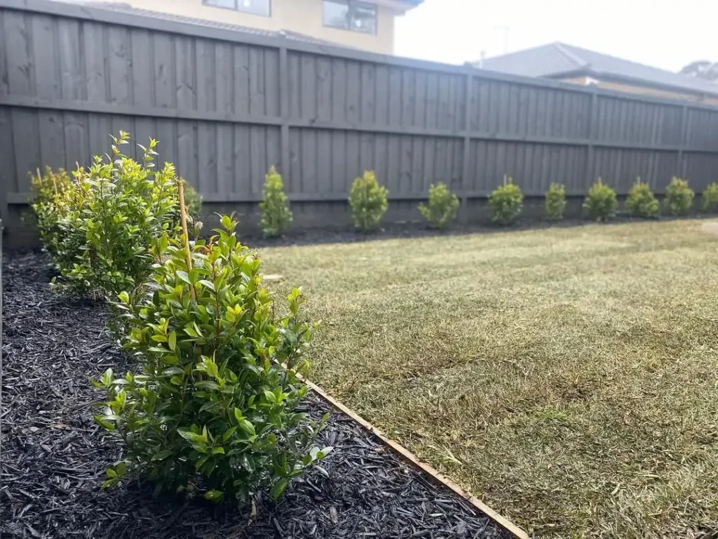 backyard bliss landchaping