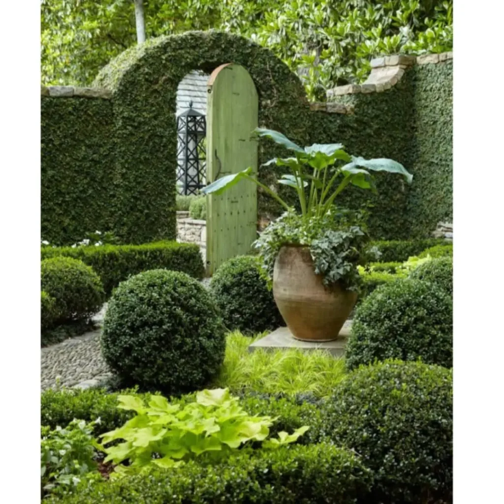 beautifully structured plants