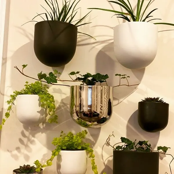 Indoor Wall Garden Ideas: Transform Your Walls into Living Art ceramic dome wall planters
