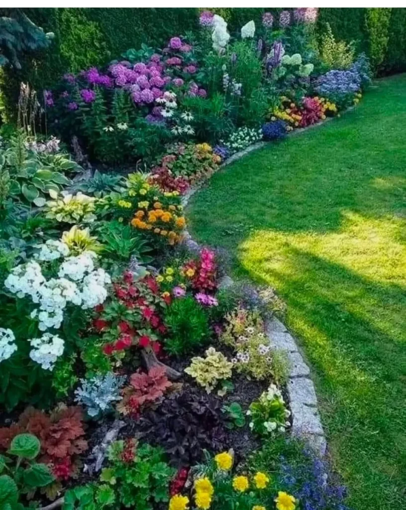 colorful flowering plants garden