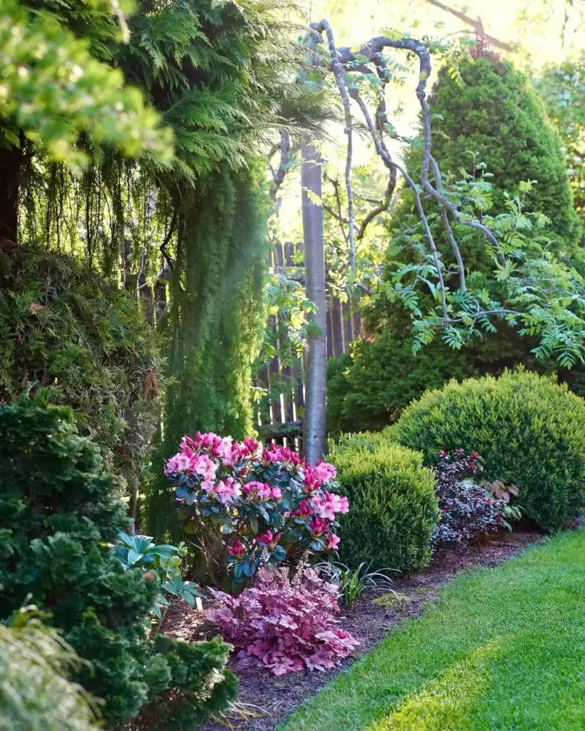 coral bells front garden
