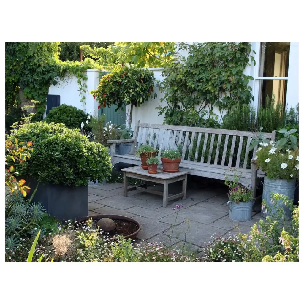courtyard wall garden