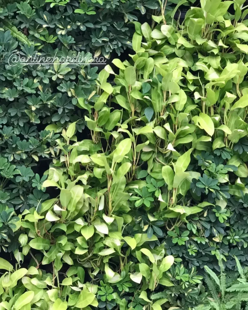 Indoor Wall Garden Ideas: Transform Your Walls into Living Art dark green leaves garden