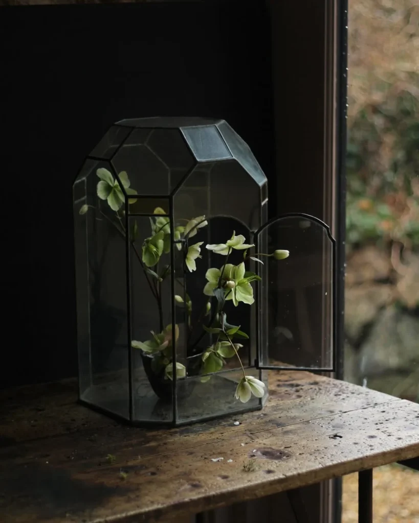 glass terrarium mini greenhouse