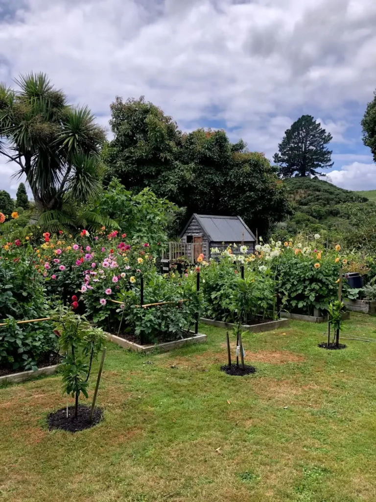 lush and vibrant flower garden