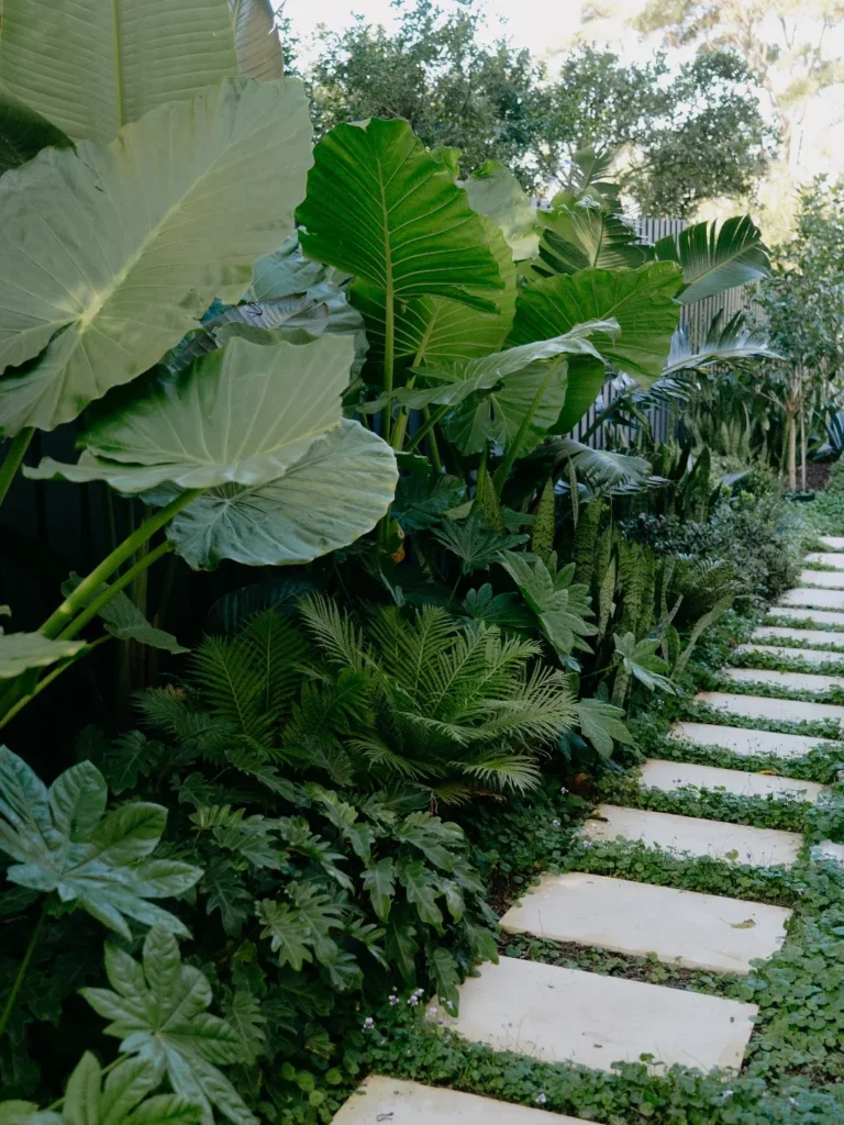 lush planting entrance