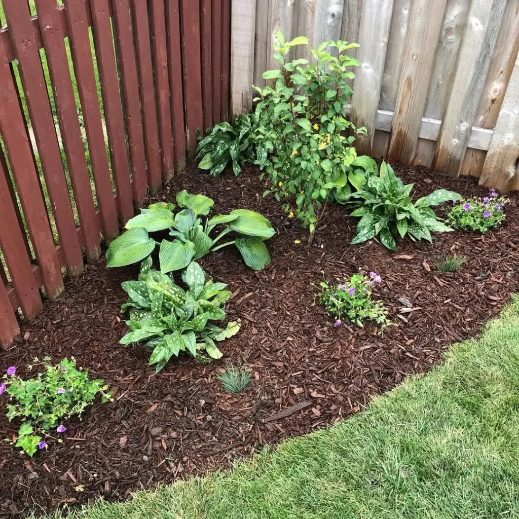 mulched corner garden